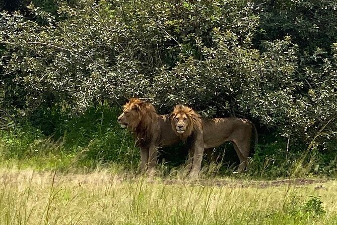 One Day Private Tour to Akagera National Park from Kigali - A short Imigongo art and coffee stop