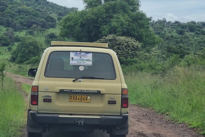 Private 1 Day Akagera Big Five Safari with pick up and lunch. - Six hours among Akagera’s wildlife
