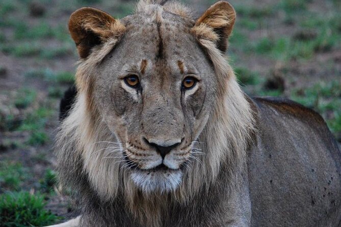 Private 1 Day Akagera Big Five Safari with pick up and lunch. - Who will enjoy this most