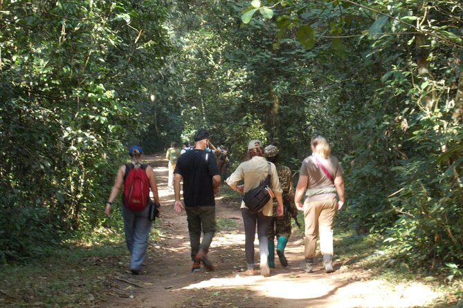 Private 2 Days Volcano Golden Monkey and Bwindi Gorilla Trek - Why this two-day route is so appealing