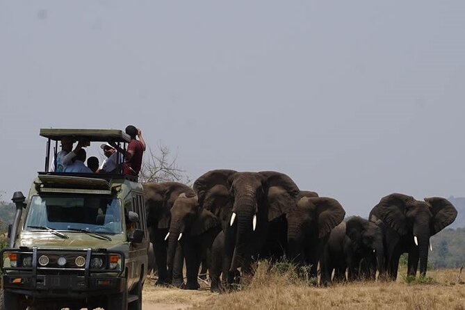 Private Full-Day Tour Akagera Game Drive - Key points before you book