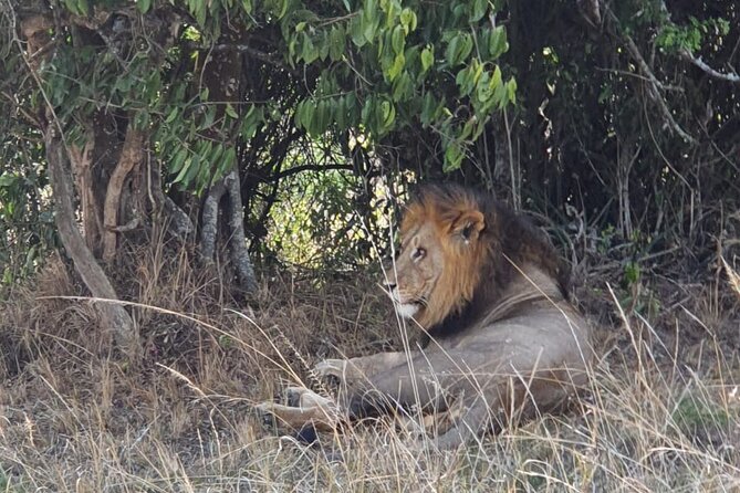 Private Full-Day Tour Akagera Game Drive - Is $360.15 per person good value?