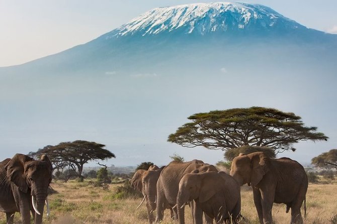 Private Transfer from Kigali Airport (KGL) to Kigali - The direct 15-minute ride into Kigali