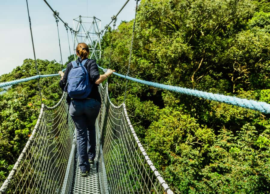 Rwanda: 3-Day Chimpanzee Trekking, Canopy, and Lake Kivu … - The five details that shape this Rwanda trip