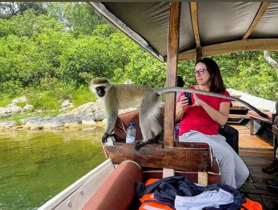 Rwanda: 3-Day Chimpanzee Trekking, Canopy, and Lake Kivu … - The chimpanzee trek starts early
