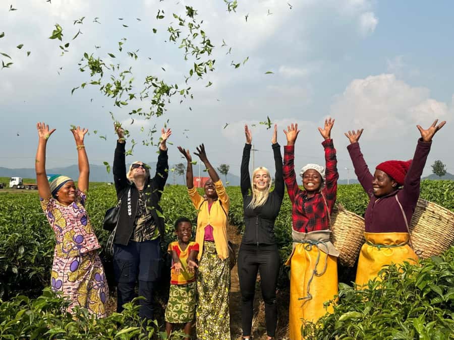 Rwanda: 3-Day Chimpanzee Trekking, Canopy, and Lake Kivu … - Walking above Nyungwe’s forest canopy