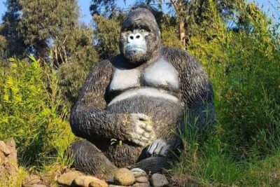 Rwanda One Day Gorilla Trekking with Iby’iwacu Culture Visit