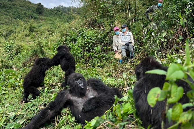 Rwanda One Day Gorilla Trekking with Iby’iwacu Culture Visit - What the Gorilla Permit Adds to the Price