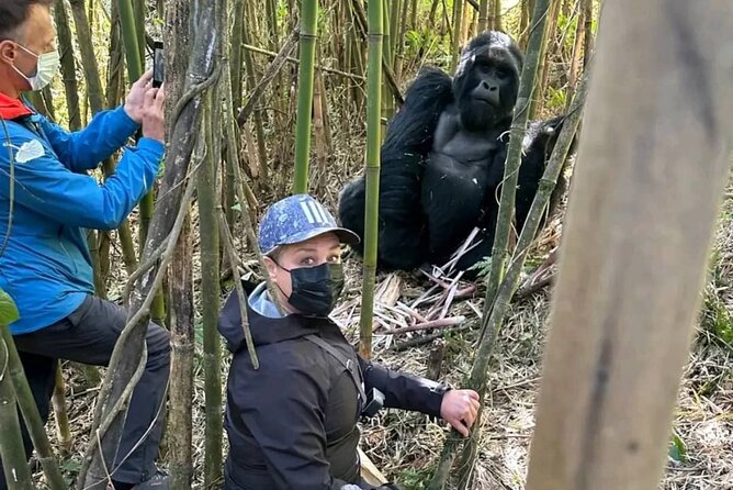 Rwanda One Day Gorilla Trekking with Iby’iwacu Culture Visit - Lunch in Musanze Before the Long Return