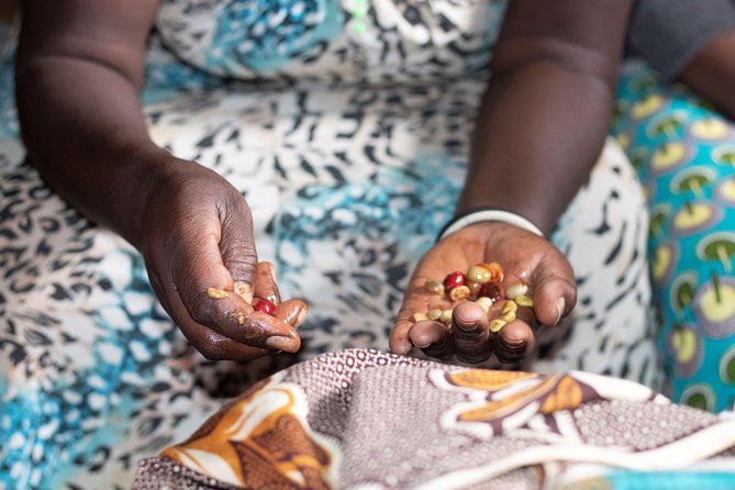 Rwandan Coffee Experience - What $90 includes, and when it feels worthwhile