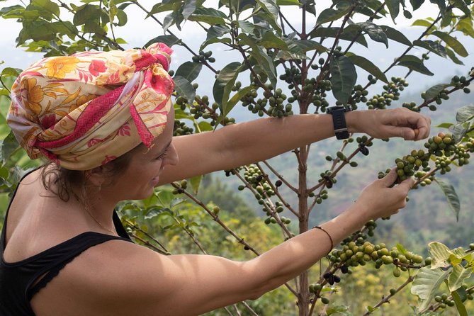 Rwandan Coffee Experience - How demanding is the five to eight hour schedule?