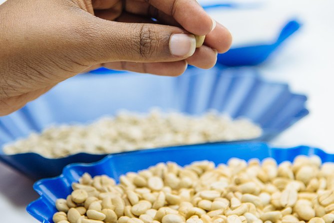 Specialty Coffee Masterclass - A short history lesson before the tasting
