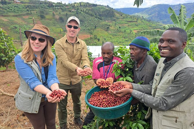 Tea and coffee tours - Key points to know before booking