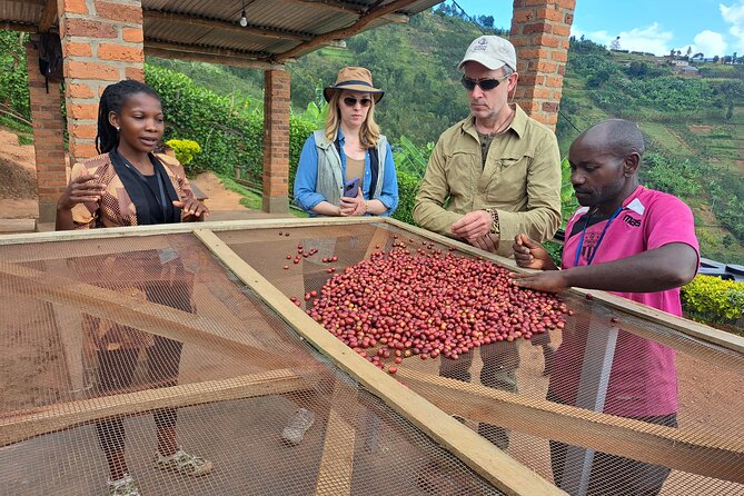 Tea and coffee tours - Why this short farm visit is worth your morning