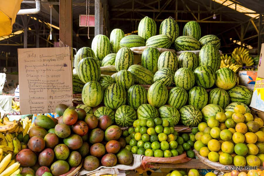 The Complete kigali City tour - Nyandungu Eco-Park: Kigali’s green breathing space