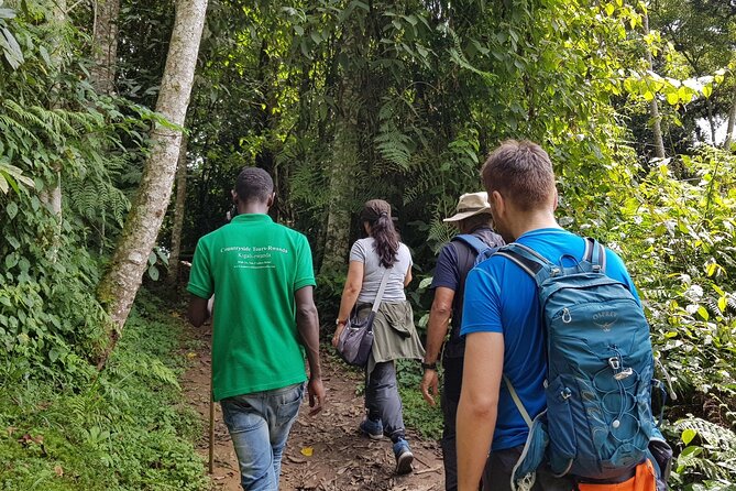 Three-day Nyungwe Canopy and Kivu Lake Adventure - The 6:00 am Departure From Kigali