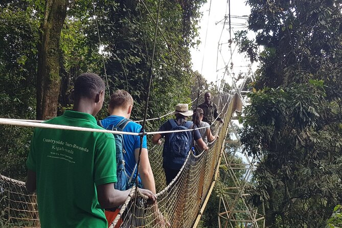 Three-day Nyungwe Canopy and Kivu Lake Adventure - Nyungwe Canopy Walk At Uwinka