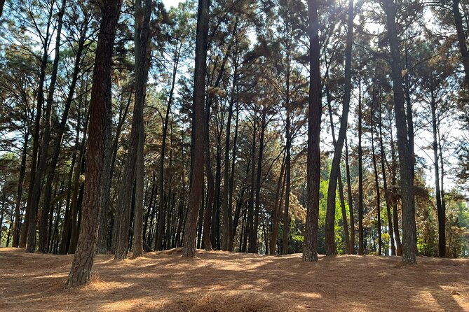 Unique Full-Day Kigali Private City Tour - Niyo Art Gallery’s social purpose