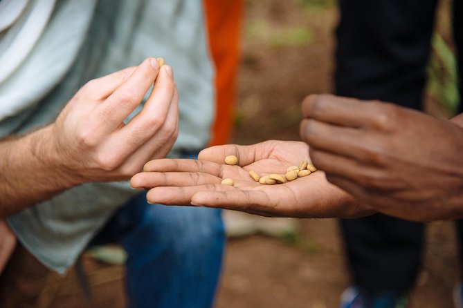 Women-led Coffee Farm Trek - The drive toward a women-run coffee operation